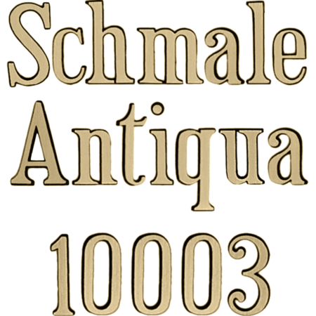 10003