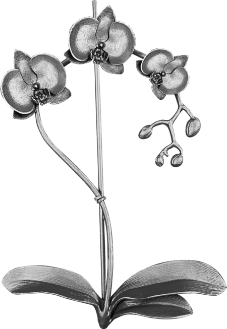 Orchidée h = 20, 20 x 13 cm – Image 2