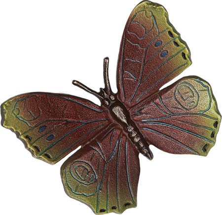 Schmetterling – Bild 4