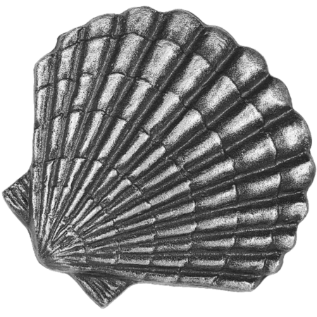 Scallop 5 x 5 cm - Image 2
