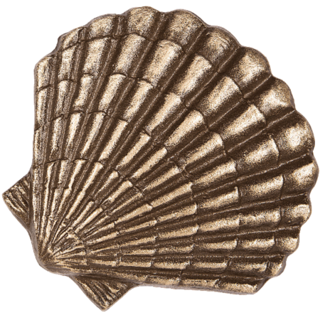 Scallop 5 x 5 cm