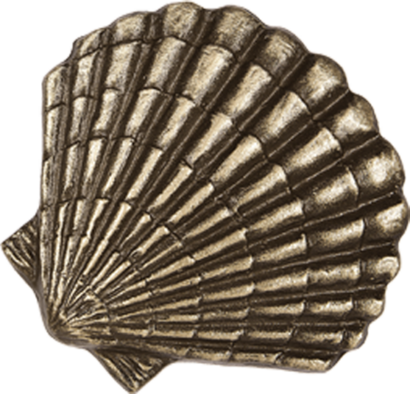 Scallop 5 x 5 cm - Image 3