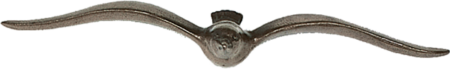 Möwe