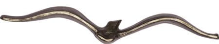 Möwe
