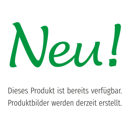 Junge mit rotem Pullover auf Schwan – Bild 2