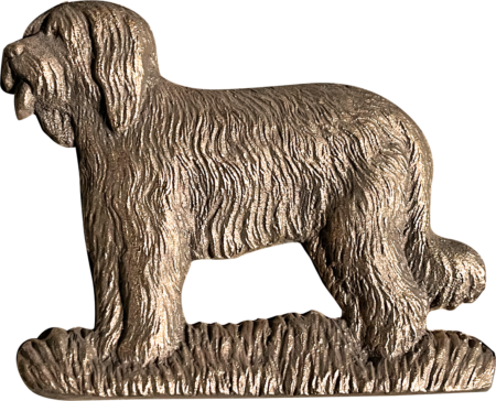 Bobtail stehend