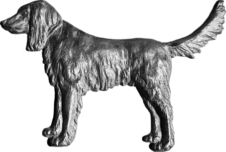 Stehender Hund – Bild 2