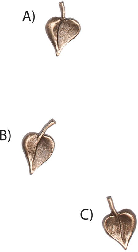 Blatt A, B oder C