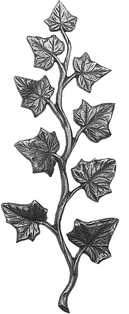 Branch of ivy 8 x 4 cm - Image 2