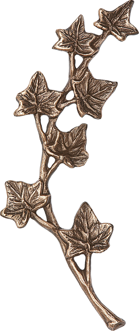 Ivy rechts/links 15 x 5 cm