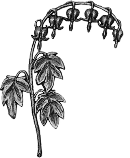 Plante du cœur 12 x 11 cm, rechts/links – Image 3