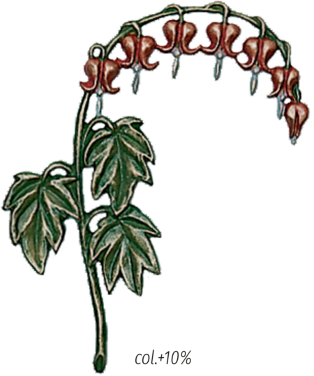 Plante du cœur 12 x 11 cm, rechts/links – Image 2