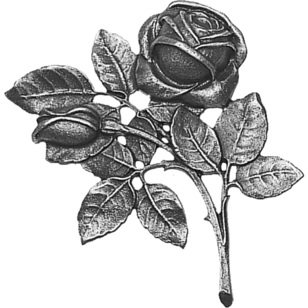 Rose – Bild 2