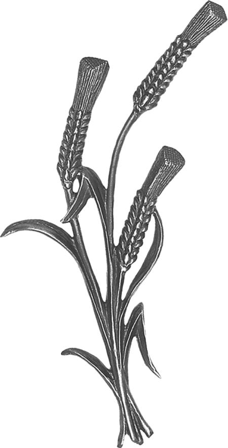 Epis 17 x 8 cm – Image 2