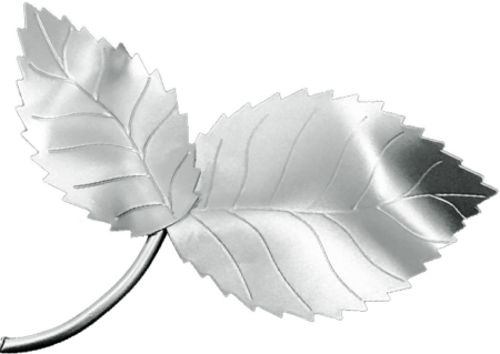 Foliage 8 x 10 cm