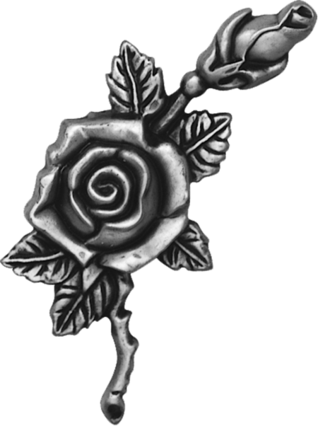 Rose – Bild 3
