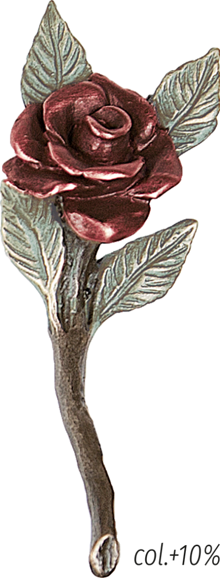 Rose – Bild 2