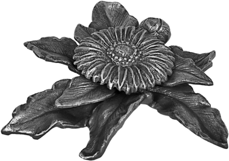 Gerbera – Bild 3