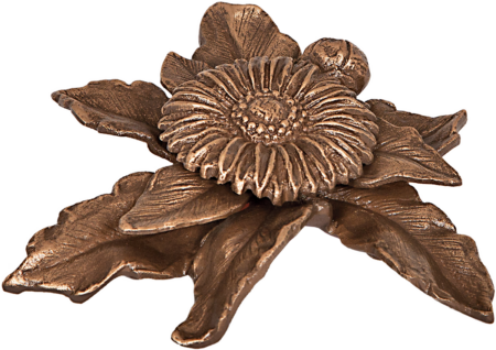Gerbera