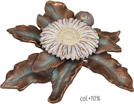 Gerbera – Bild 2
