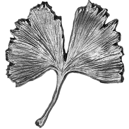 Ginkgo-Blatt – Bild 2