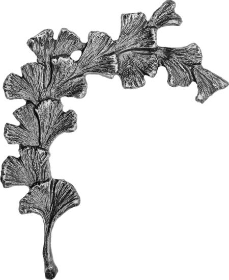 Ginkgozweig – Bild 2
