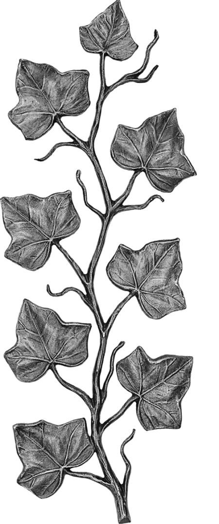 Branch of ivy 27 x 12 cm - Image 3