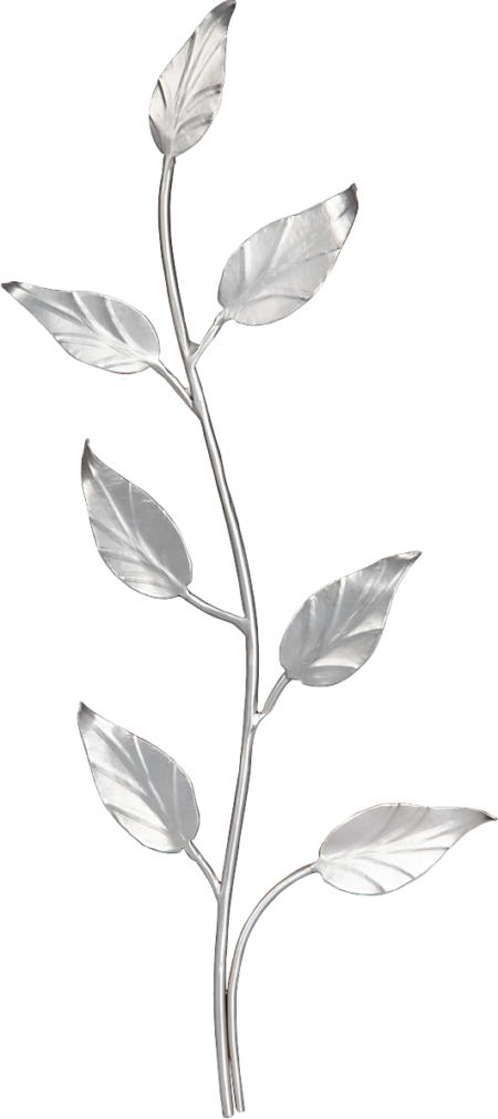 Branche 35 x 13 cm