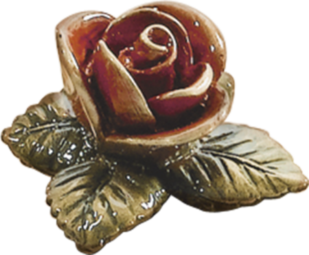 Rose coloriert