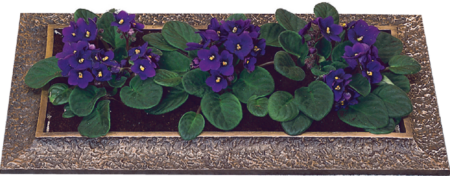 Pot de plantes excamotable avec intérieur 54 x 29 cm