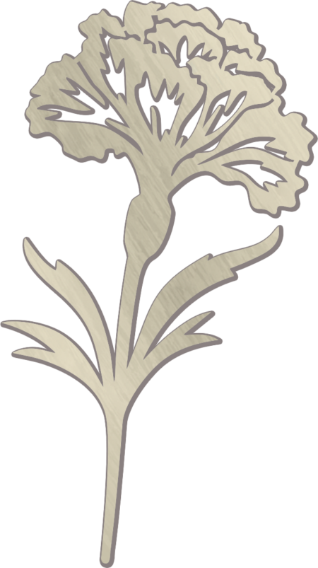 Clou de girofle 12 x 6 cm – Image 2