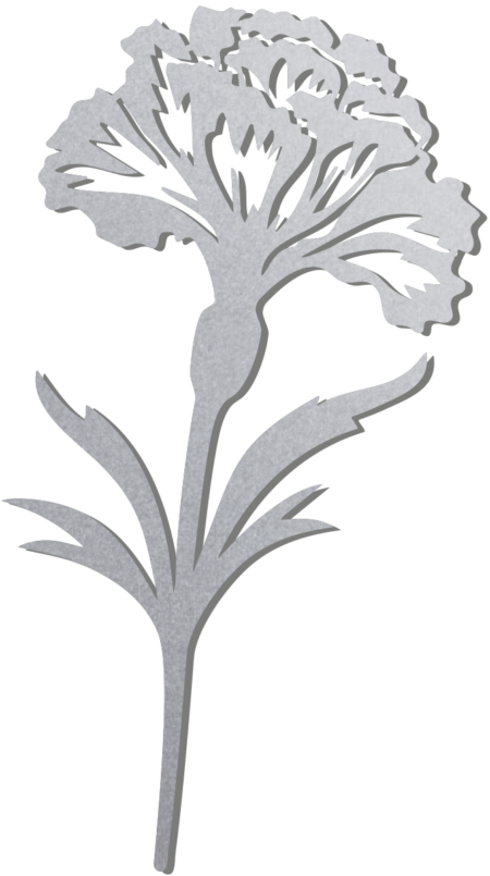 Clou de girofle 12 x 6 cm – Image 3
