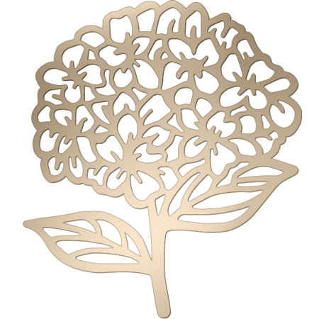 Hortensie