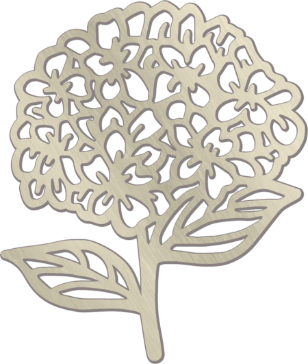 Hortensie – Bild 2