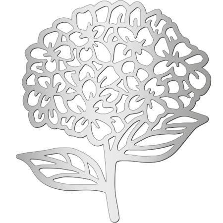 Hortensie – Bild 3