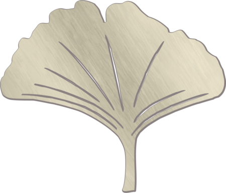 Ginkgo-leaf 7 x 8 cm - Image 2