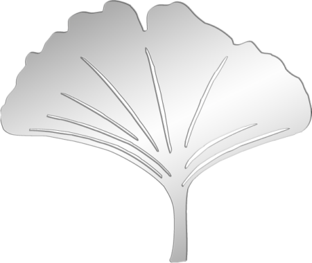Ginkgo-leaf 7 x 8 cm - Image 3