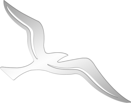 Mouette 8 x 10 cm – Image 3
