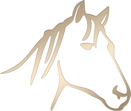 Pferdekopf