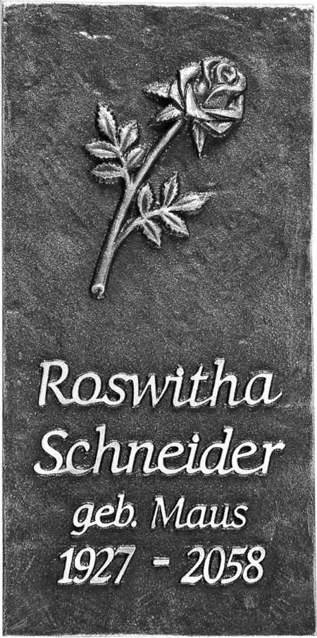 Namenstafel ohne Rand Größe 18 x 9 cm, d = 10 mm mit Motiv T, M, E, K, R, V, S – Bild 7