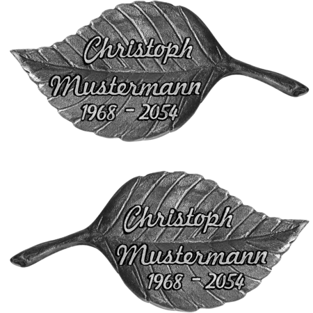 Buchenblatt – Bild 2