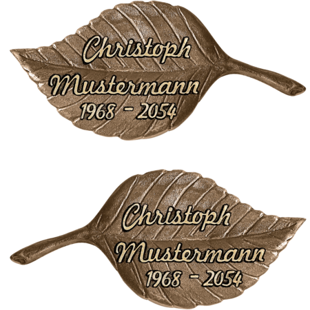 Buchenblatt