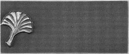 Plaque sans bord avec motif R,T,E,M,A,V,K,L Type des lettres no. 10005 texte – Image 13