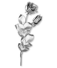 Produkt Plein Rose Edelstahl