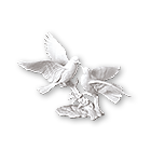 Vögel